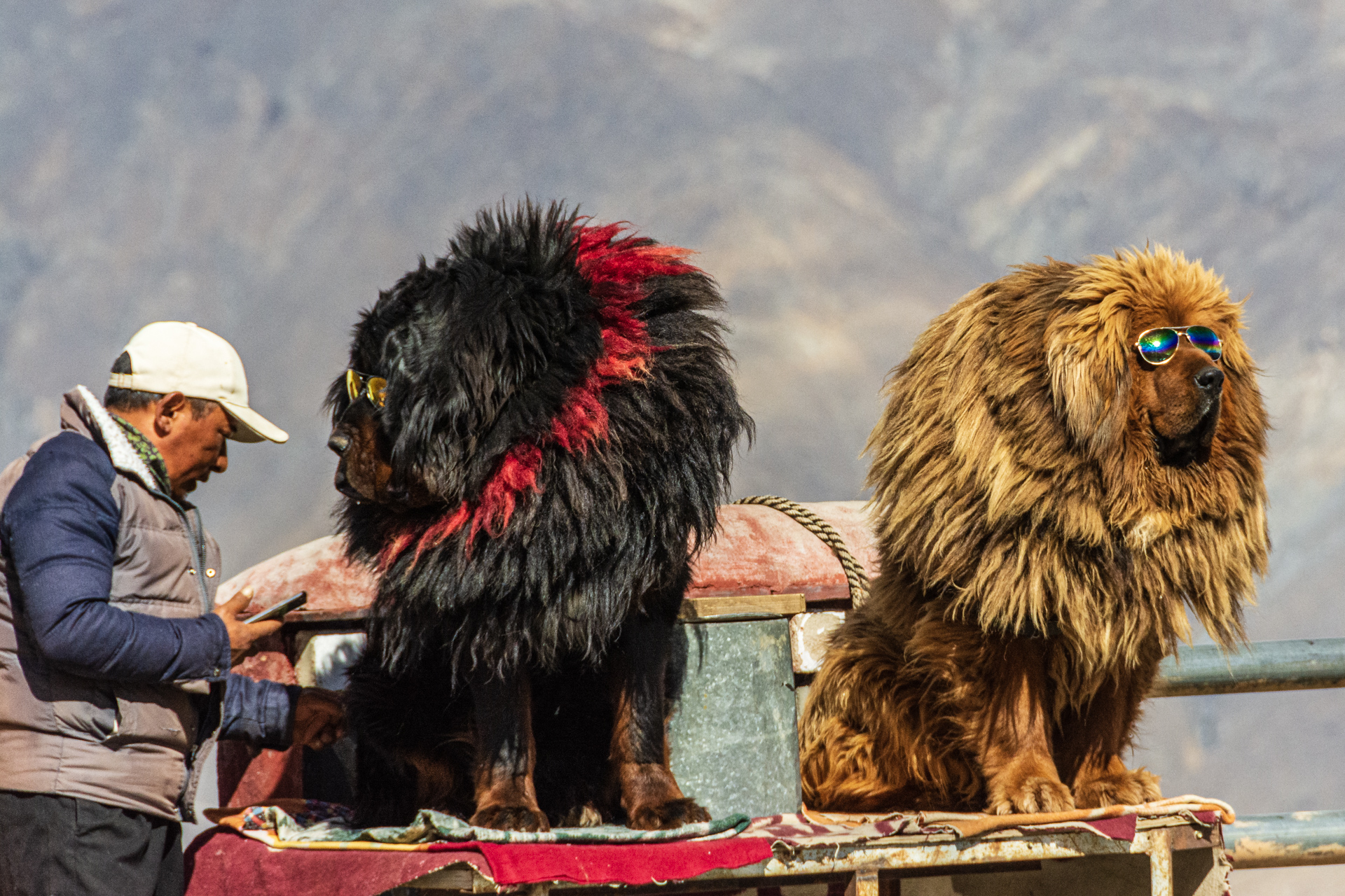 Fahrt von Lhasa nach Gyantse